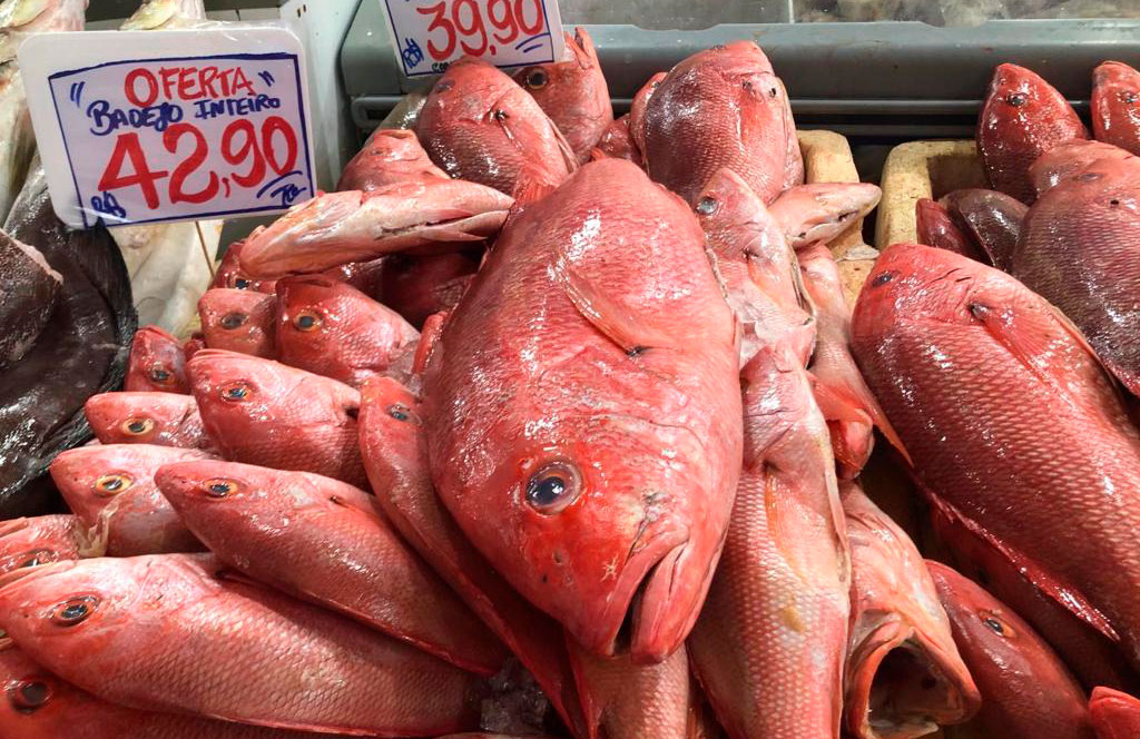 Peixe Vermelho